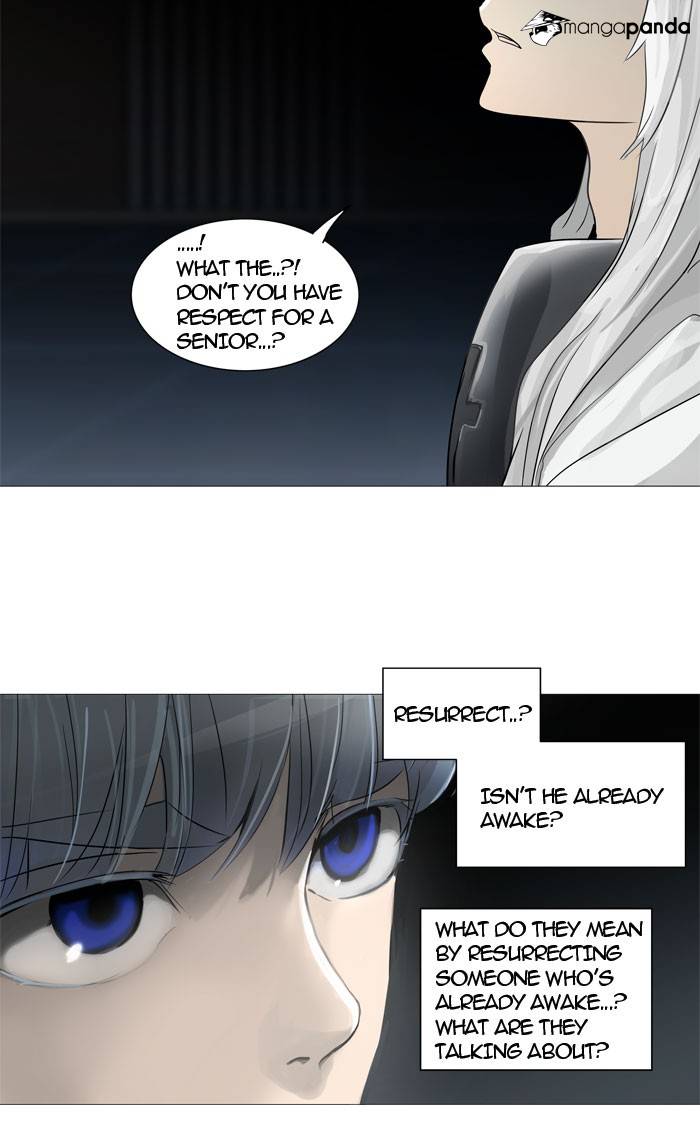 Tower of God Chapter 245 image 29